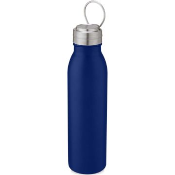 Harper 700 ml stainless steel water bottle with metal loop